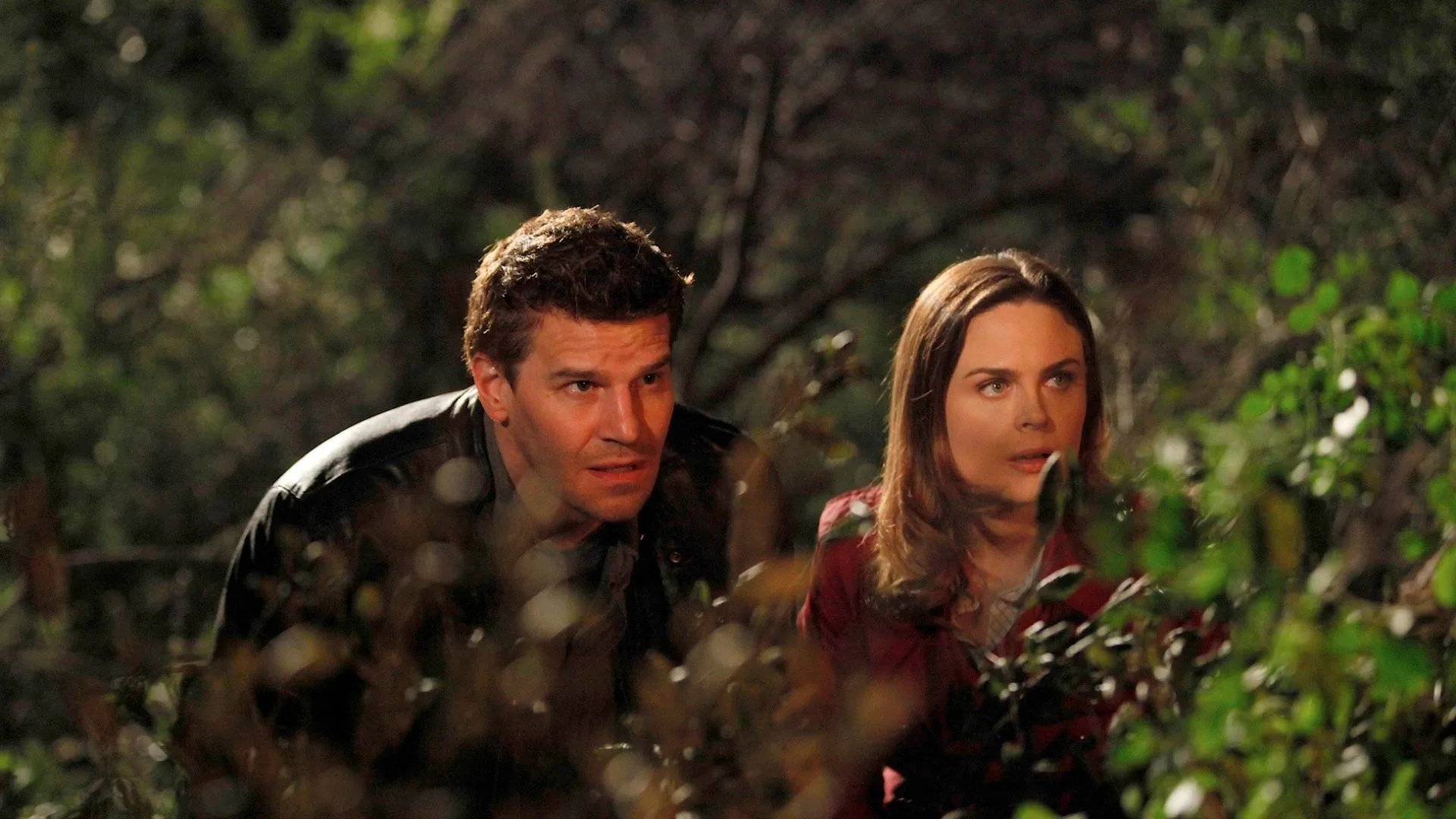 Bones stagione 5