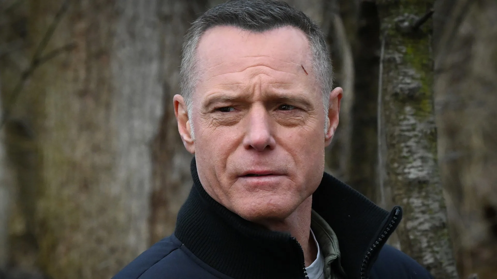Chicago P.D. stagione 11