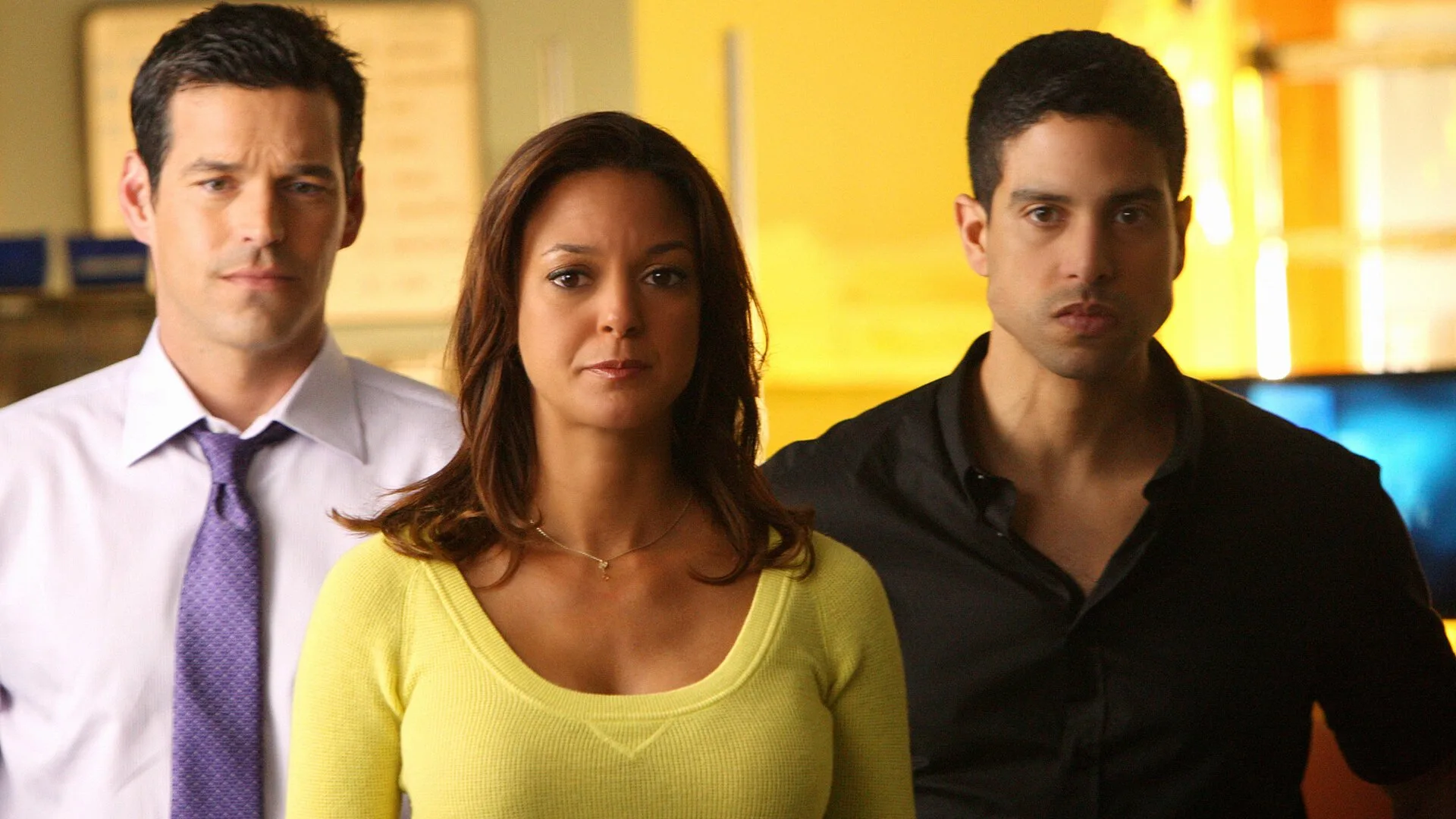 CSI: Miami stagione 8