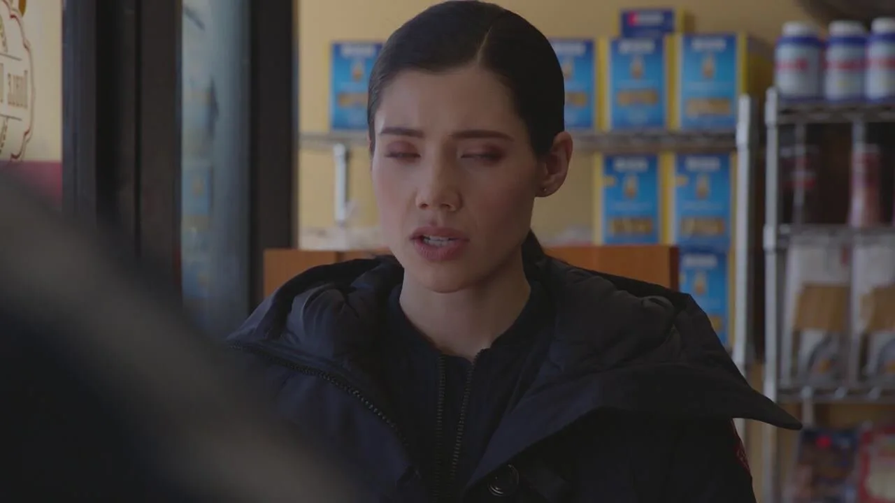 Chicago Fire stagione 9