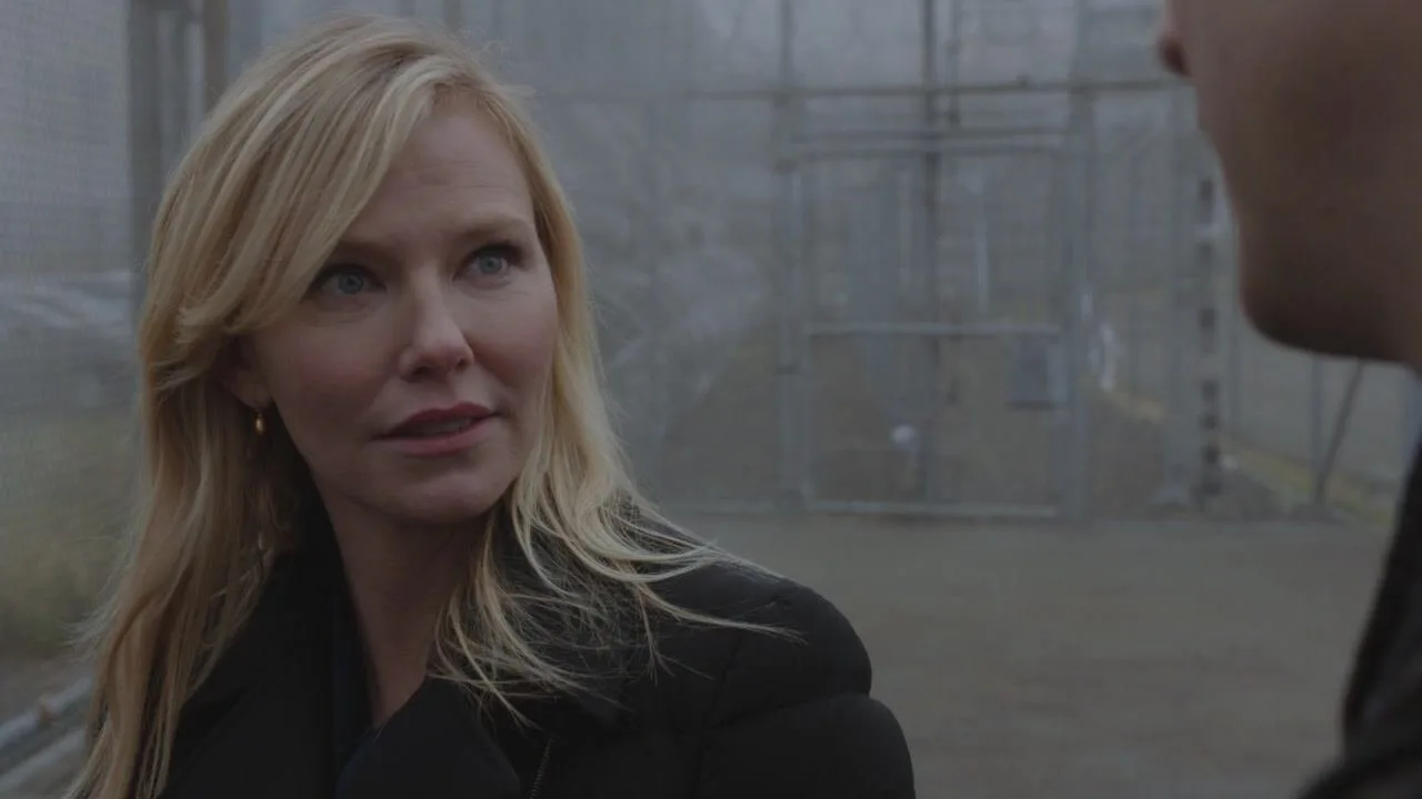 Law & Order: Special Victims Unit stagione 17