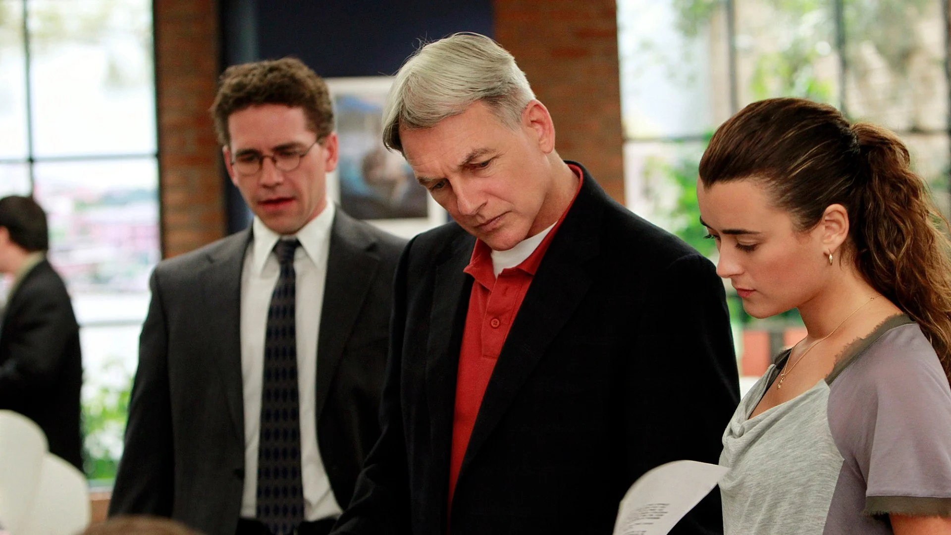 NCIS stagione 8