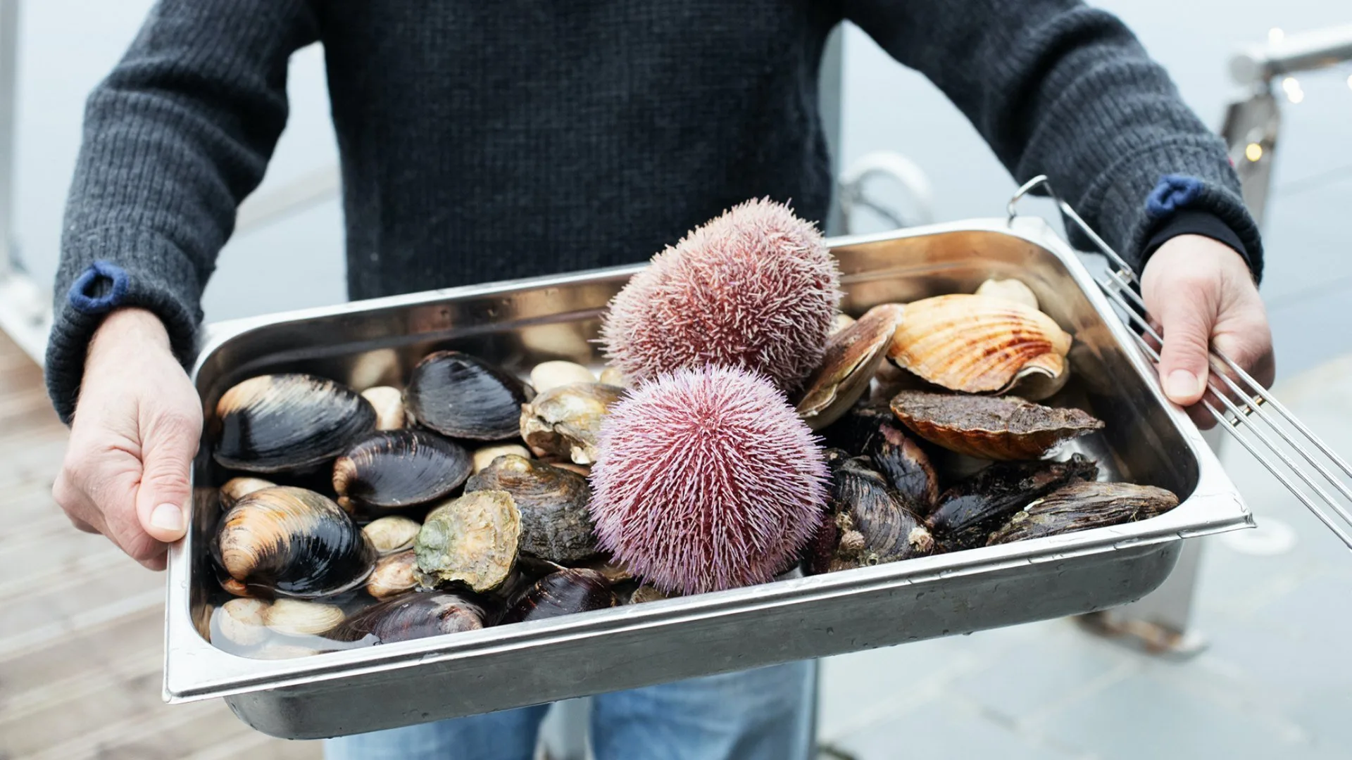 Food Markets. Profumi e sapori a km zero stagione 4