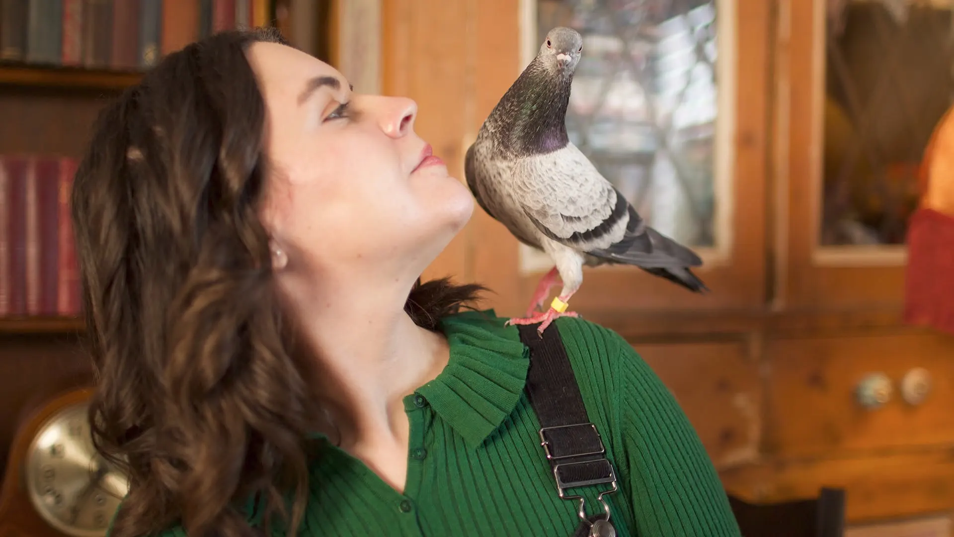 I nostri migliori amici animali stagione 1