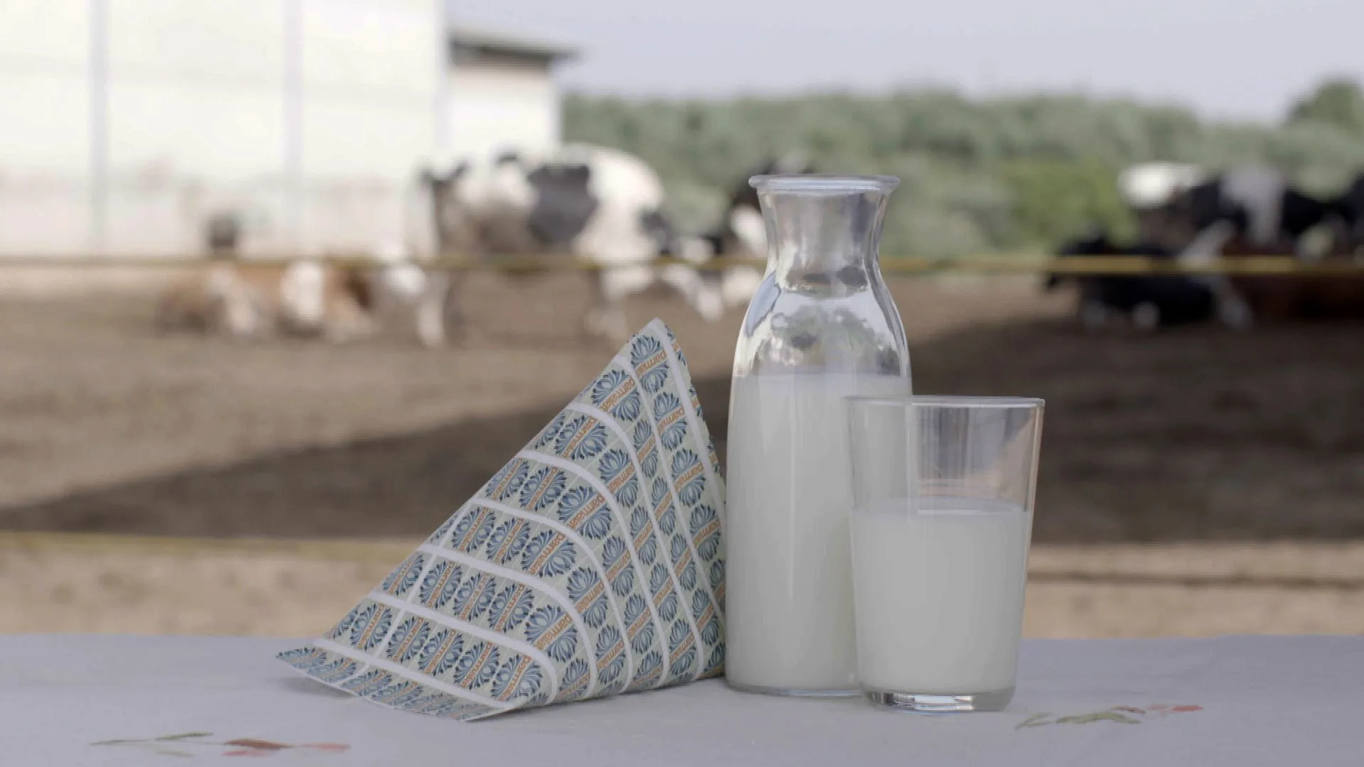 Il crac Parmalat stagione 1
