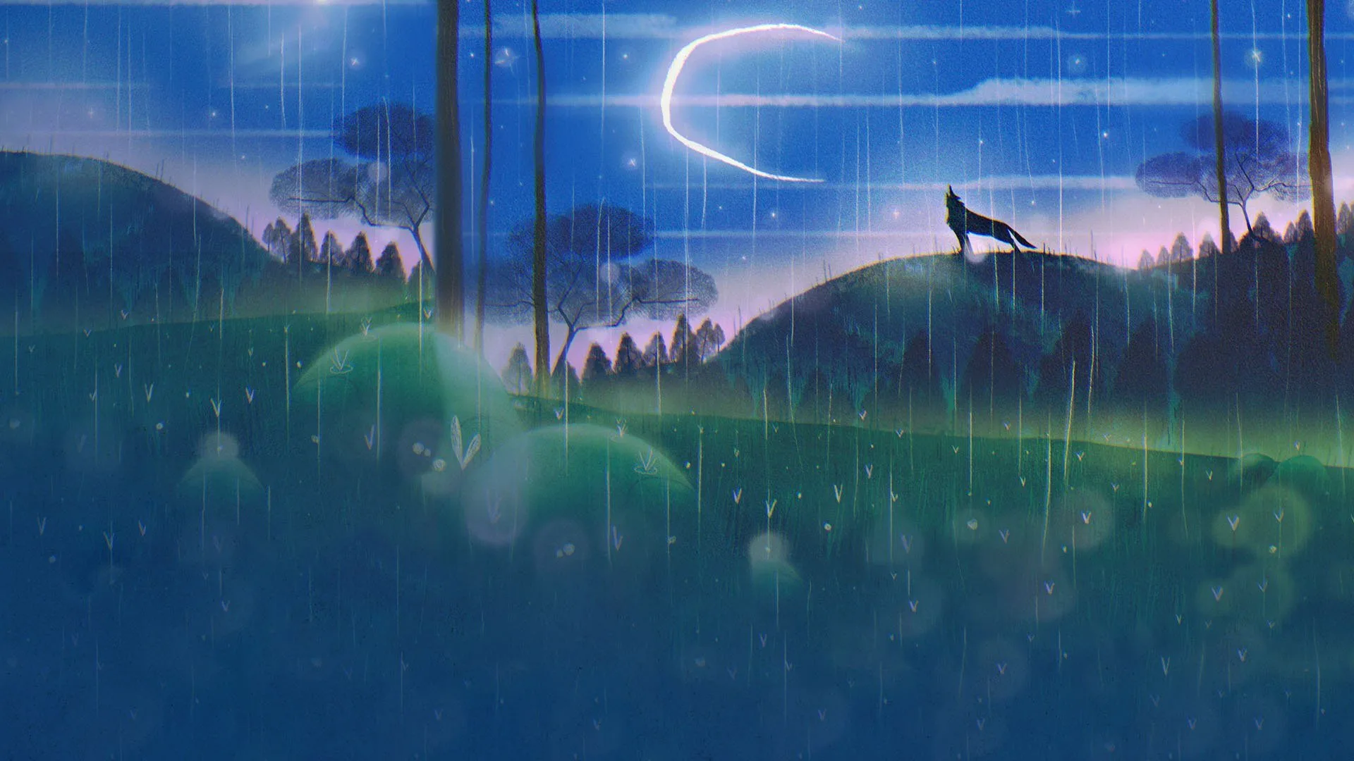 Là dove la notte