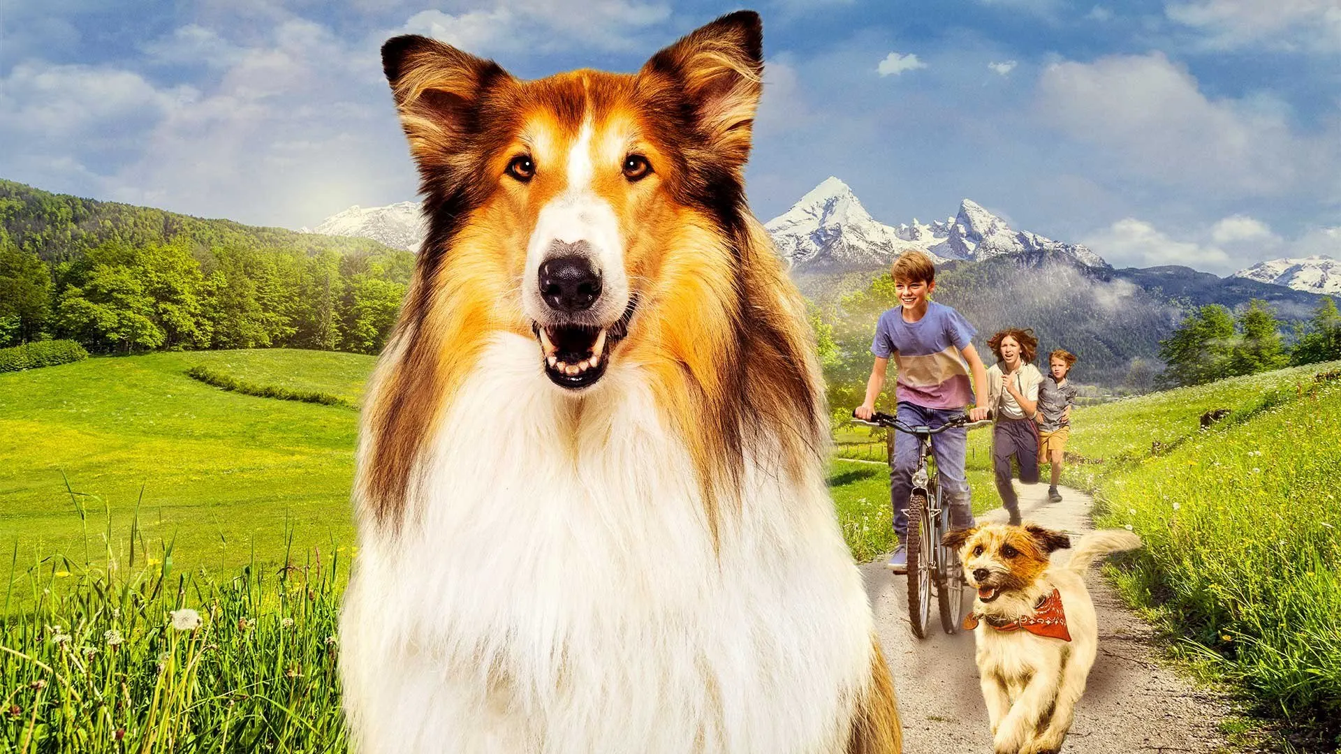 Lassie - Una nuova avventura