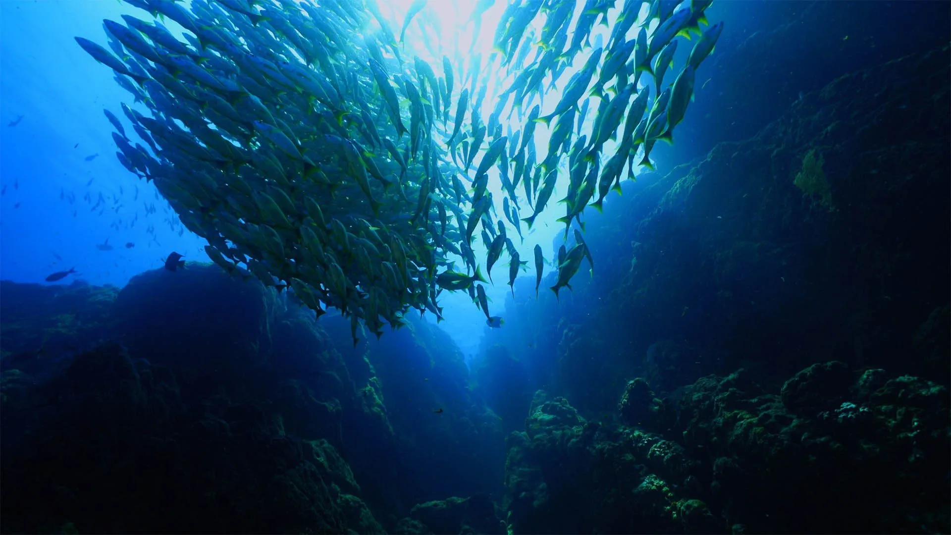Nel selvaggio blu stagione 2