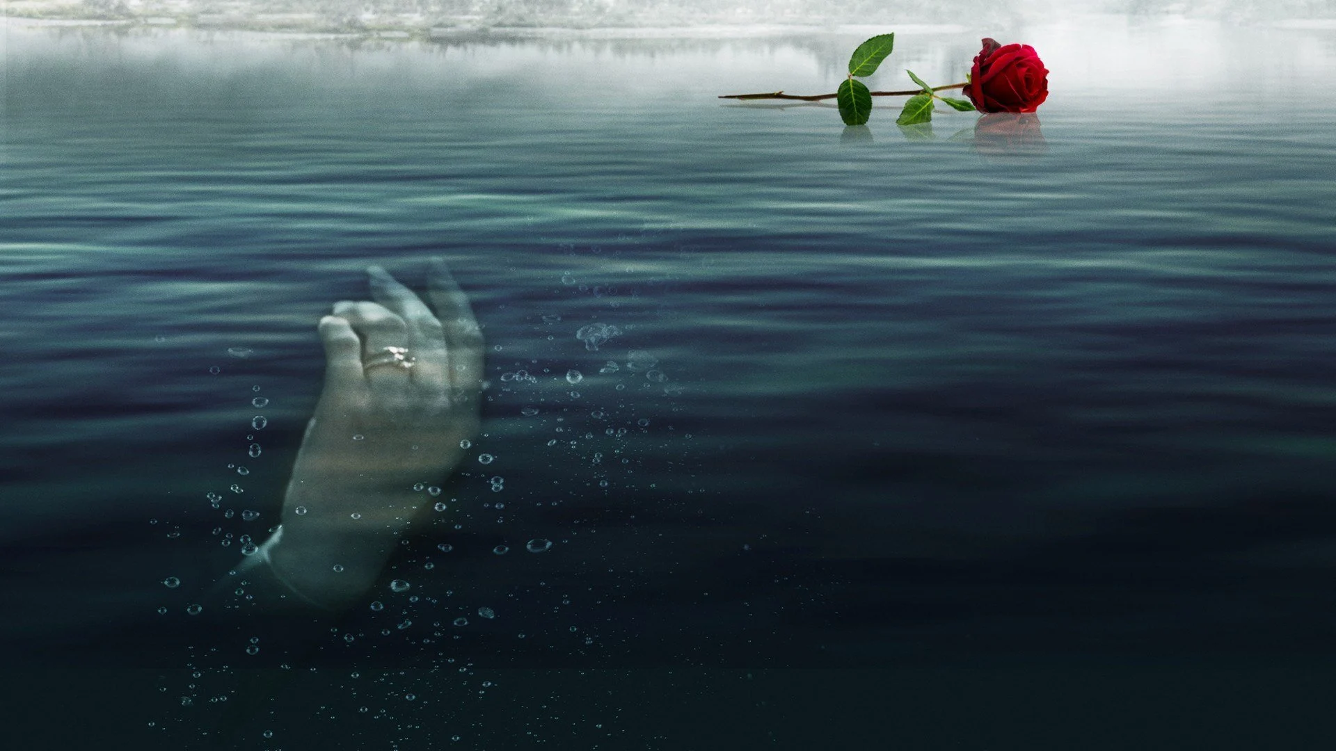 Per amore della verità