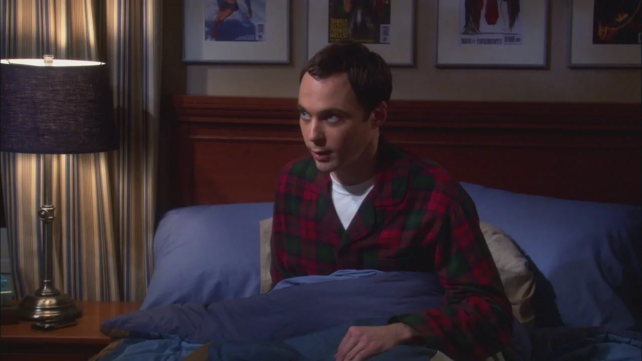 The Big Bang Theory stagione 2