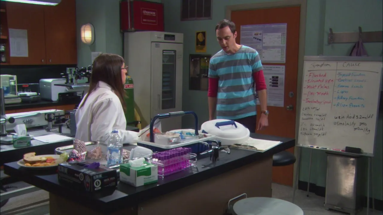 The Big Bang Theory stagione 4