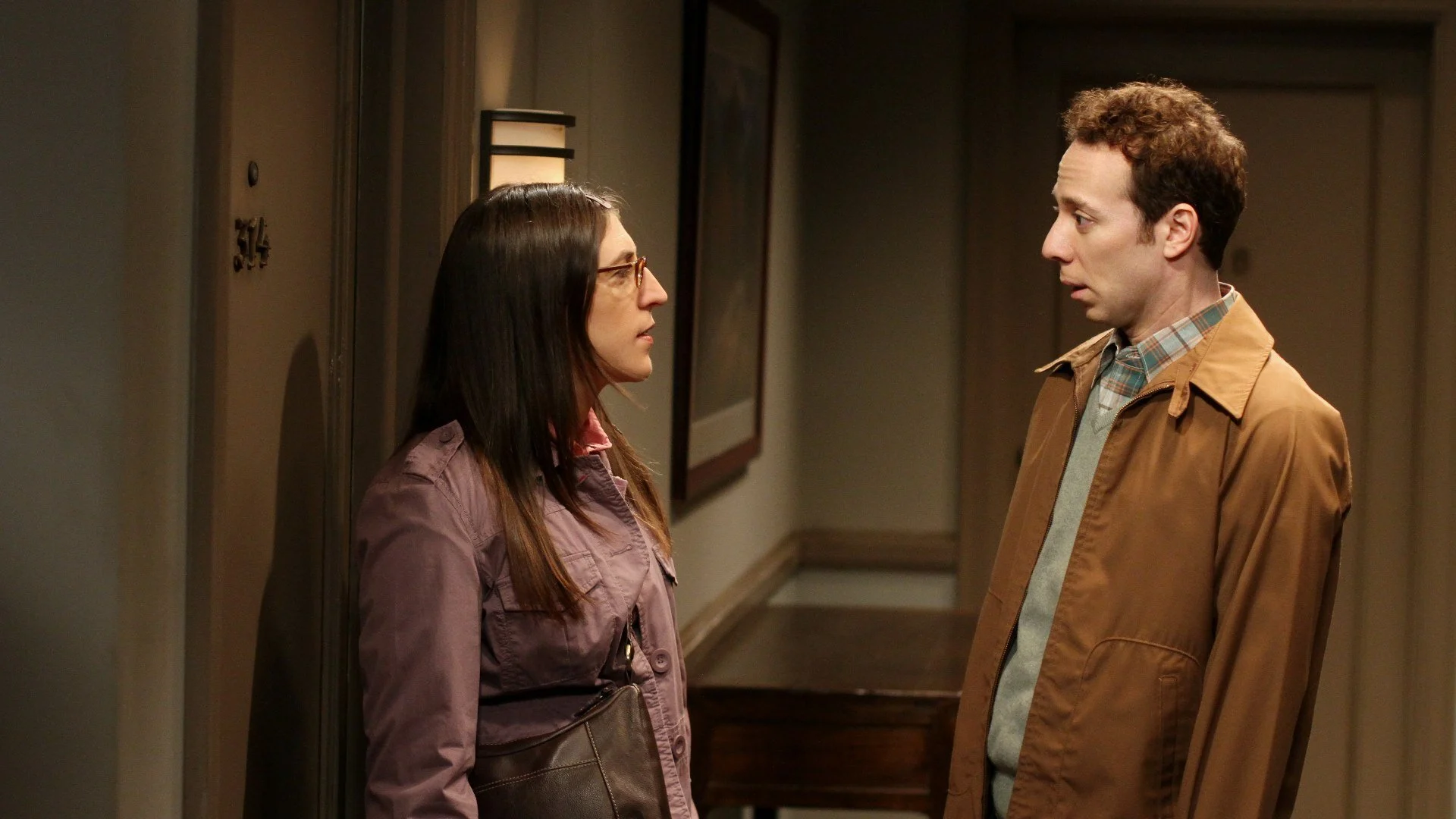 The Big Bang Theory stagione 5