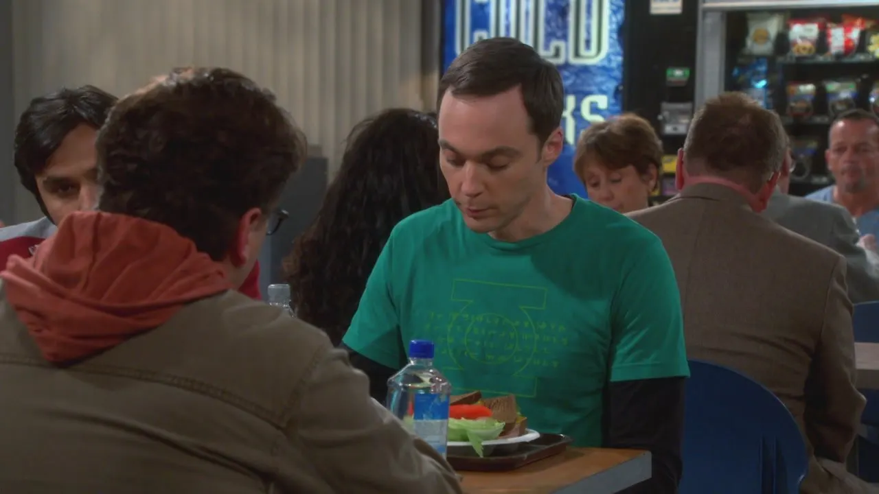 The Big Bang Theory stagione 8