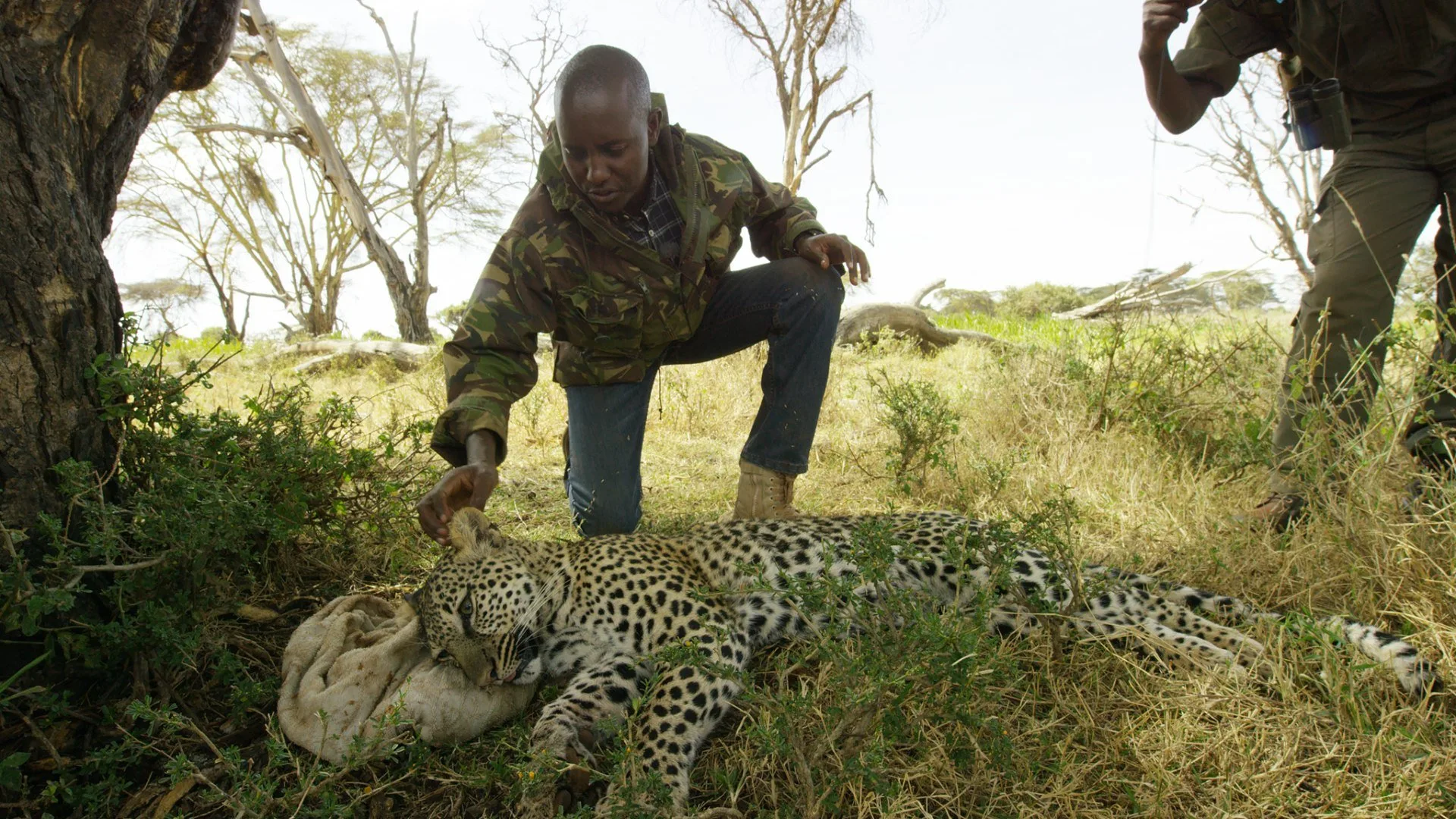 Wild Kenya stagione 1